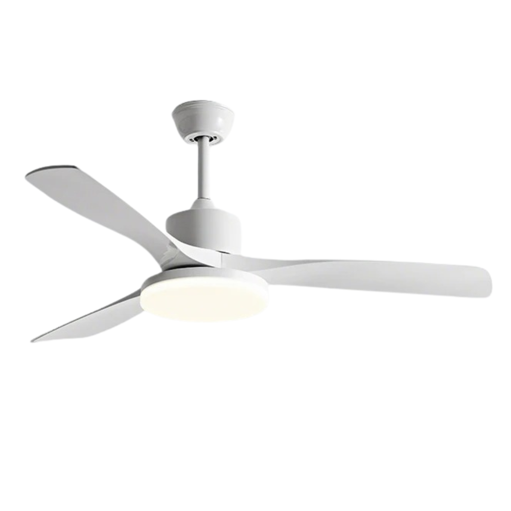 Plafond ventilator met lamp