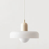 Flower pot hanglamp