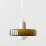 Flower pot hanglamp